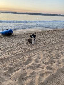 Китай отчита по-малко произшествия и смъртни случаи във въгледобива през 2025 г