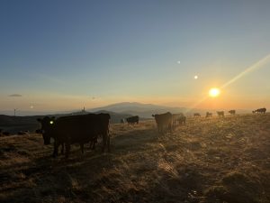 Китай постига големи пробиви в експлоатацията и използването на редки метали