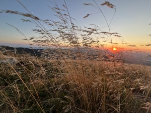 Swap rate volatility rises amid Middle East tensions