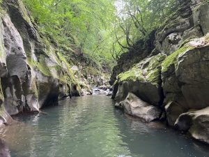 Петгодишен преглед! Проучете възприятията на чужденците за китайската икономика