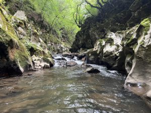 DeepSeek регистрира патент за по-интелигентно и по-ефективно събиране на данни с изкуствен интелект · TechNode