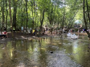 Former Apprentice contestant criticises Rightmove fees