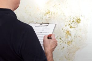 Councils must be backed to uphold Decent Homes Standard, warns NRLA