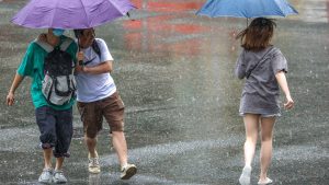 Landlord body warns EPC targets face skills shortage