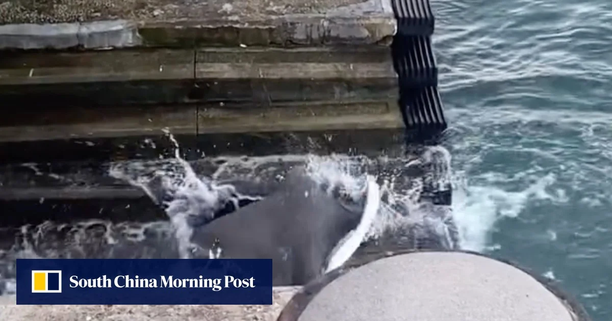 Изберете вашите собствени скъпи цветя в центъра на Шанхай