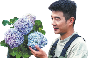 Градинарството подхранва стресирани младежи