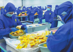 Първата пратка от индонезийски дуриан влиза в Китай