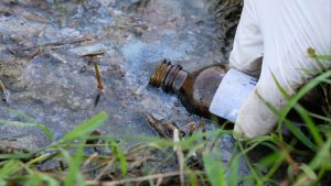 Хонконгските влажни зони регистрират 40 пъти повече петрол след нефтен разлив: Грийнпийс